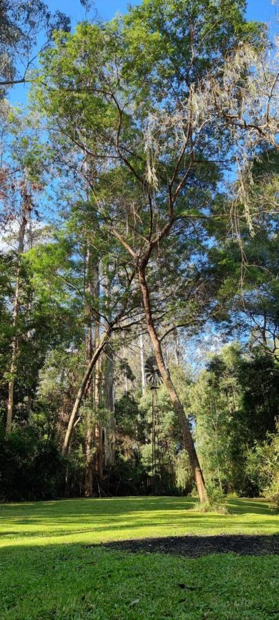 Bird Songs Getaway Accommodation Cabbage Tree Creek Εξωτερικό φωτογραφία